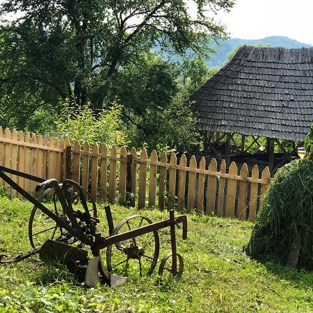 Villa Casa albastra Băile Olăneşti Esterno foto