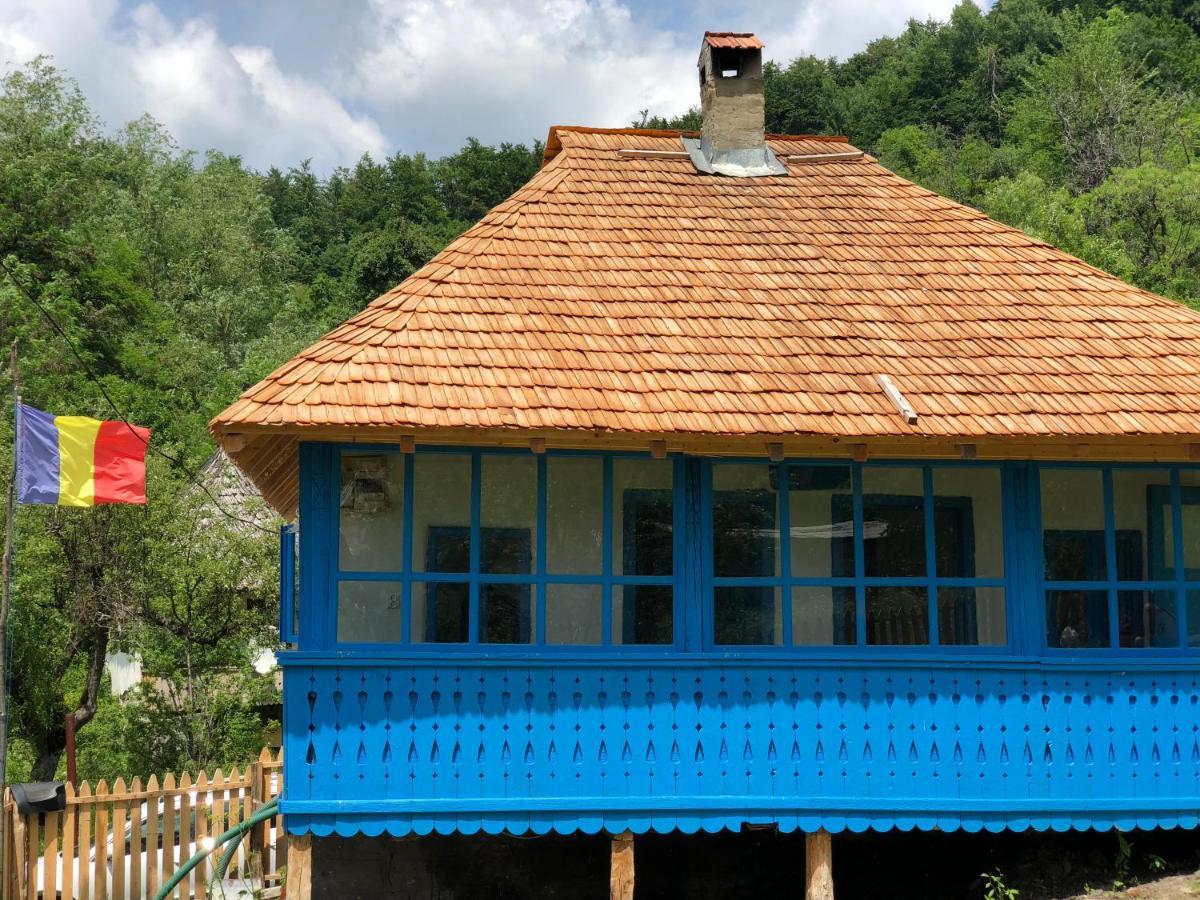 Villa Casa albastra Băile Olăneşti Esterno foto