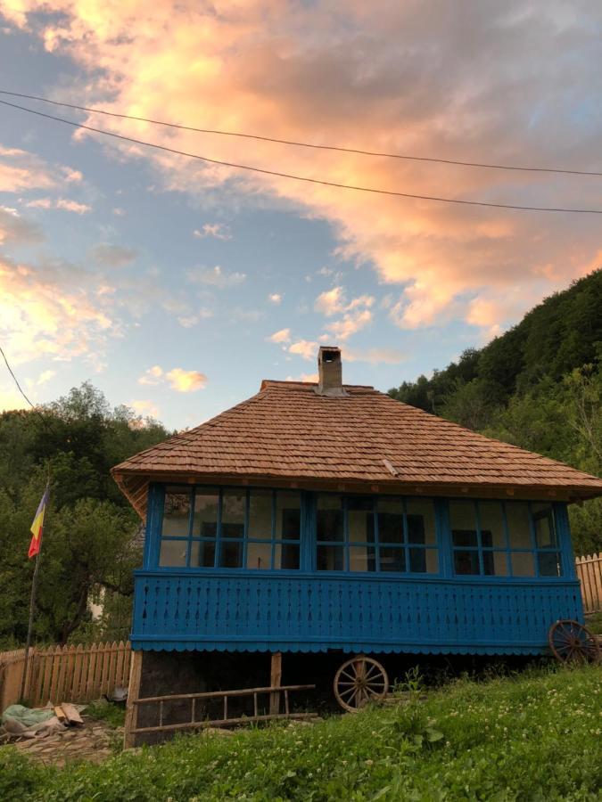 Villa Casa albastra Băile Olăneşti Esterno foto
