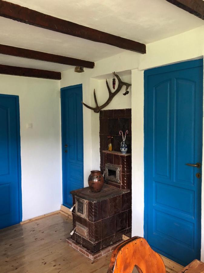 Villa Casa albastra Băile Olăneşti Esterno foto