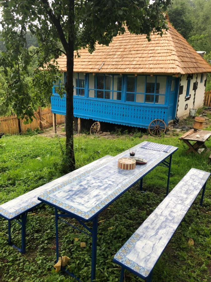 Villa Casa albastra Băile Olăneşti Esterno foto