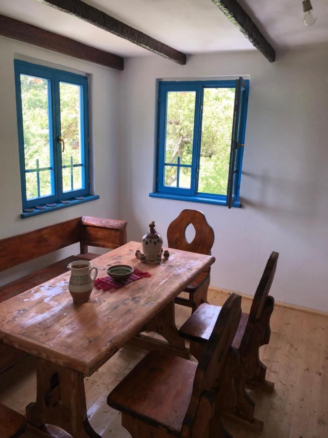Villa Casa albastra Băile Olăneşti Esterno foto